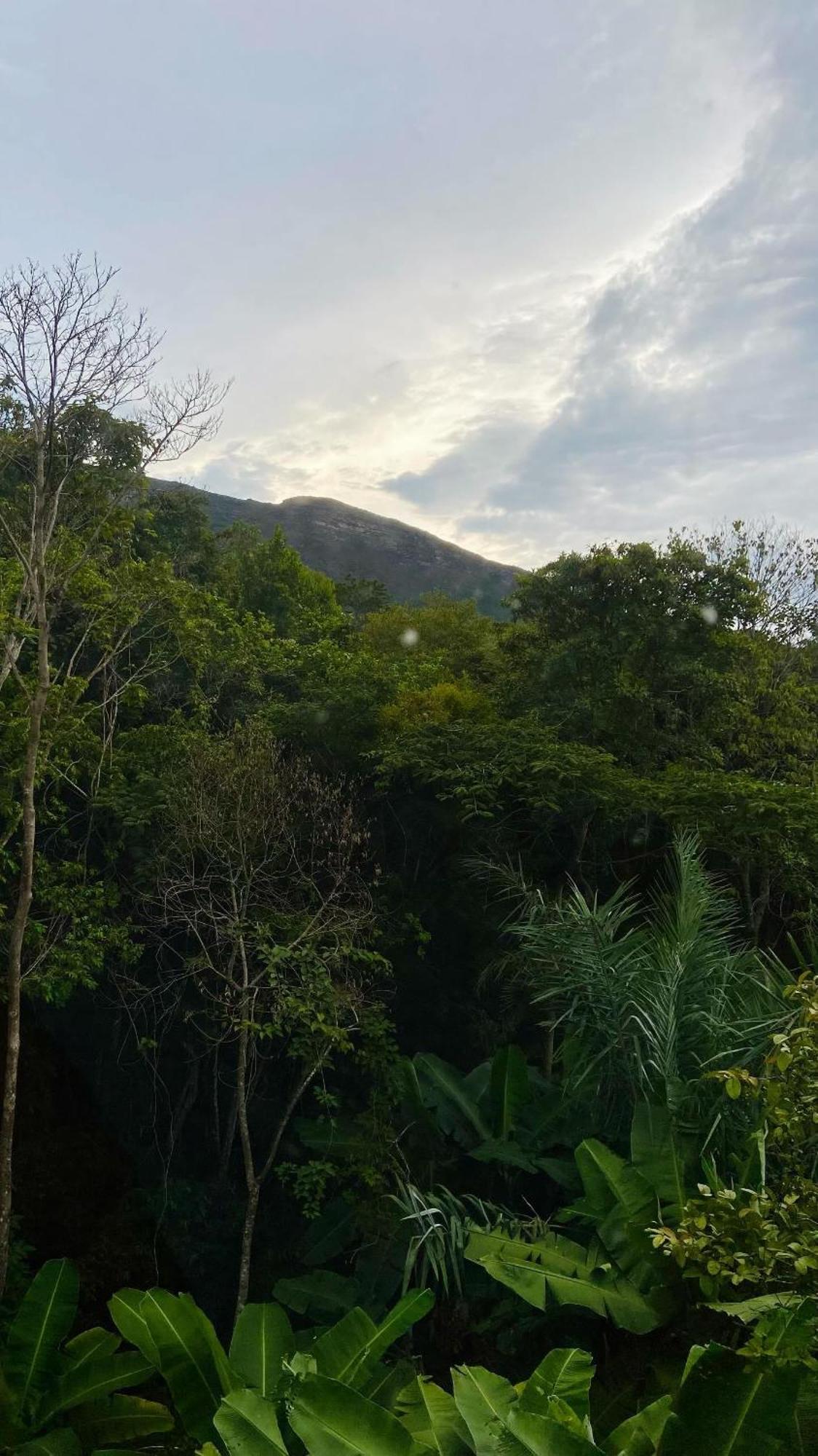 Casa Quaresmeira 帕尔梅拉斯 外观 照片